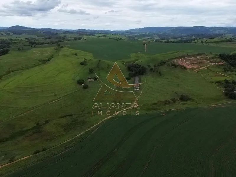 Fazenda - São José do Rio Pardo - Zona Rural - Foto 5