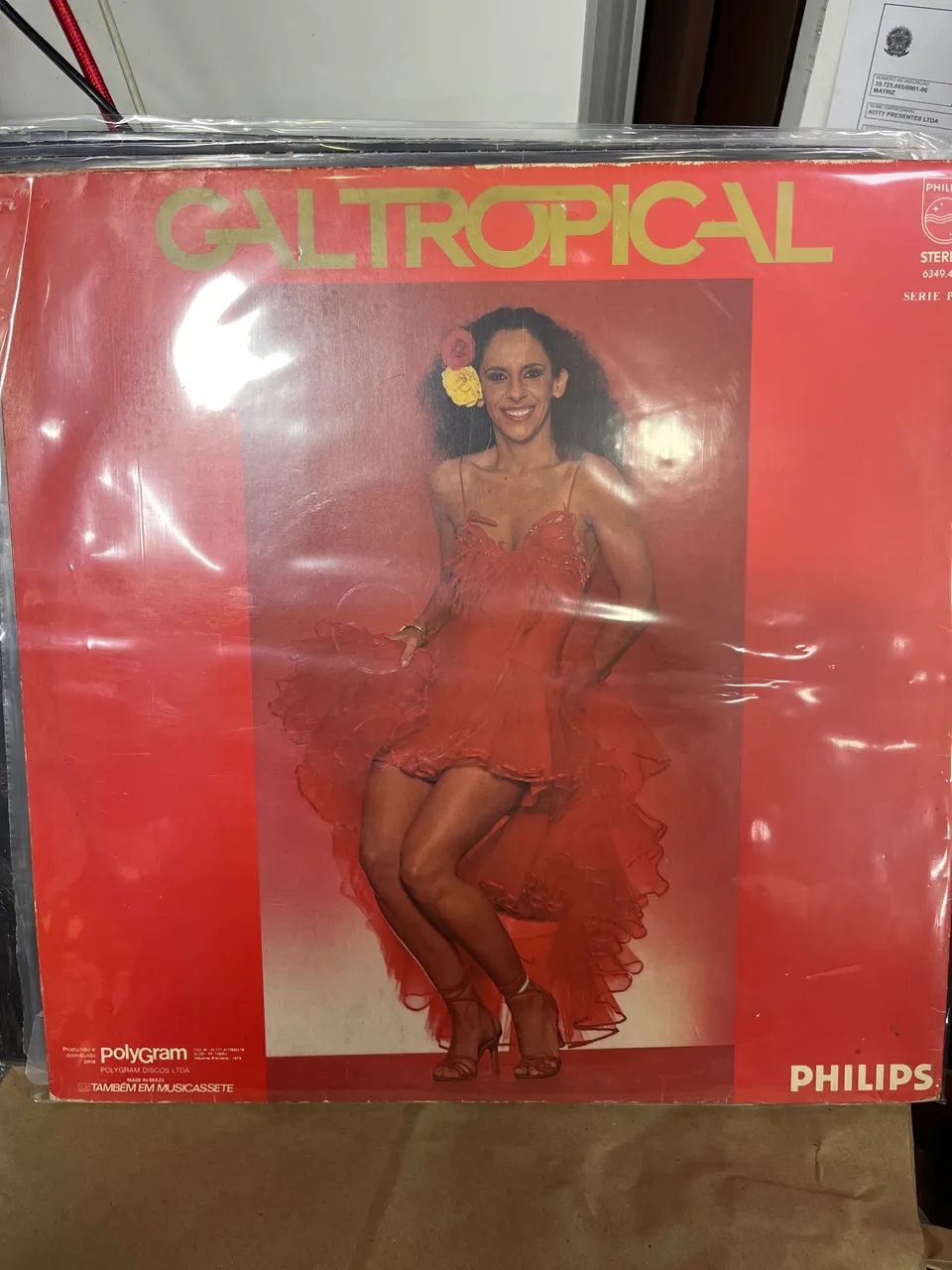 Gal Tropical vinil - Foto 2