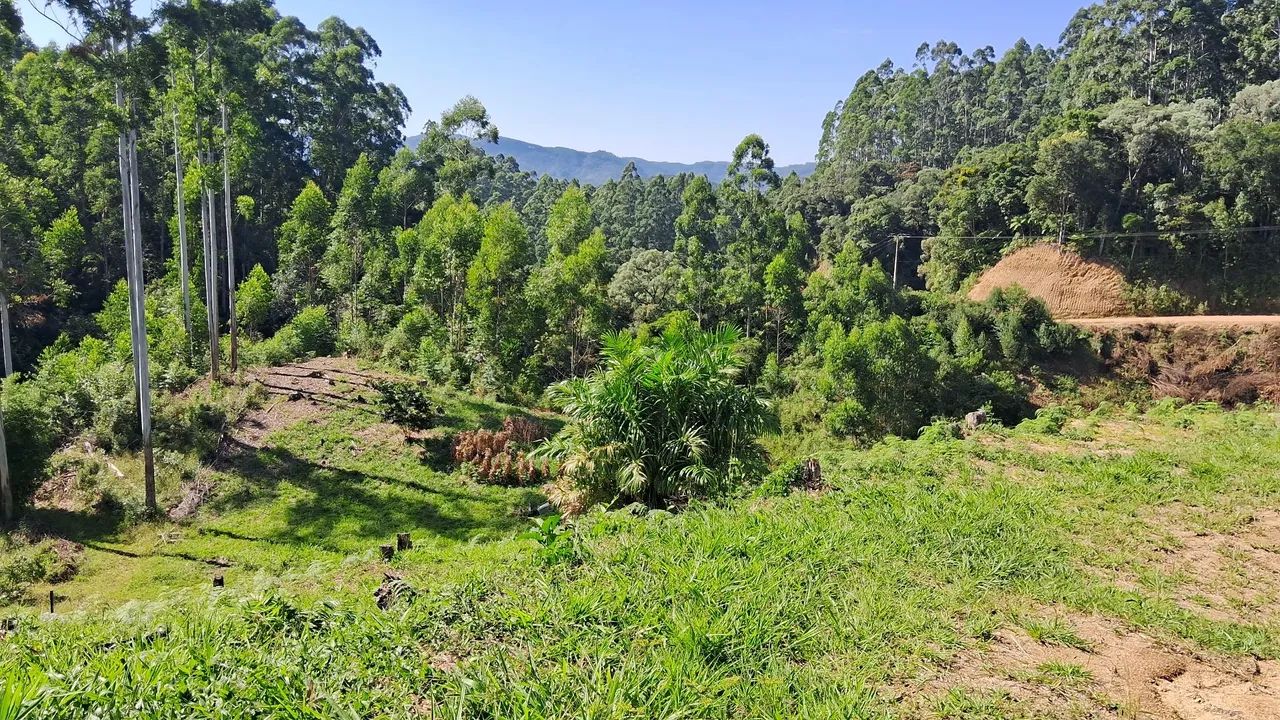 Sítio 3 hectares bem localizado em Anitápolis-SC  - Foto 4