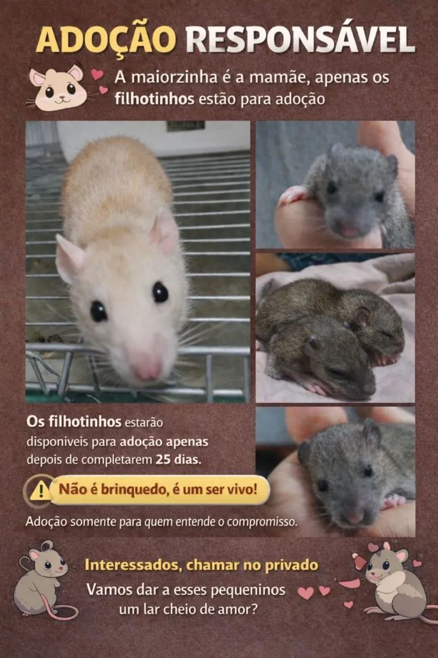 ? ADOÇÃO RESPONSÁVEL ?