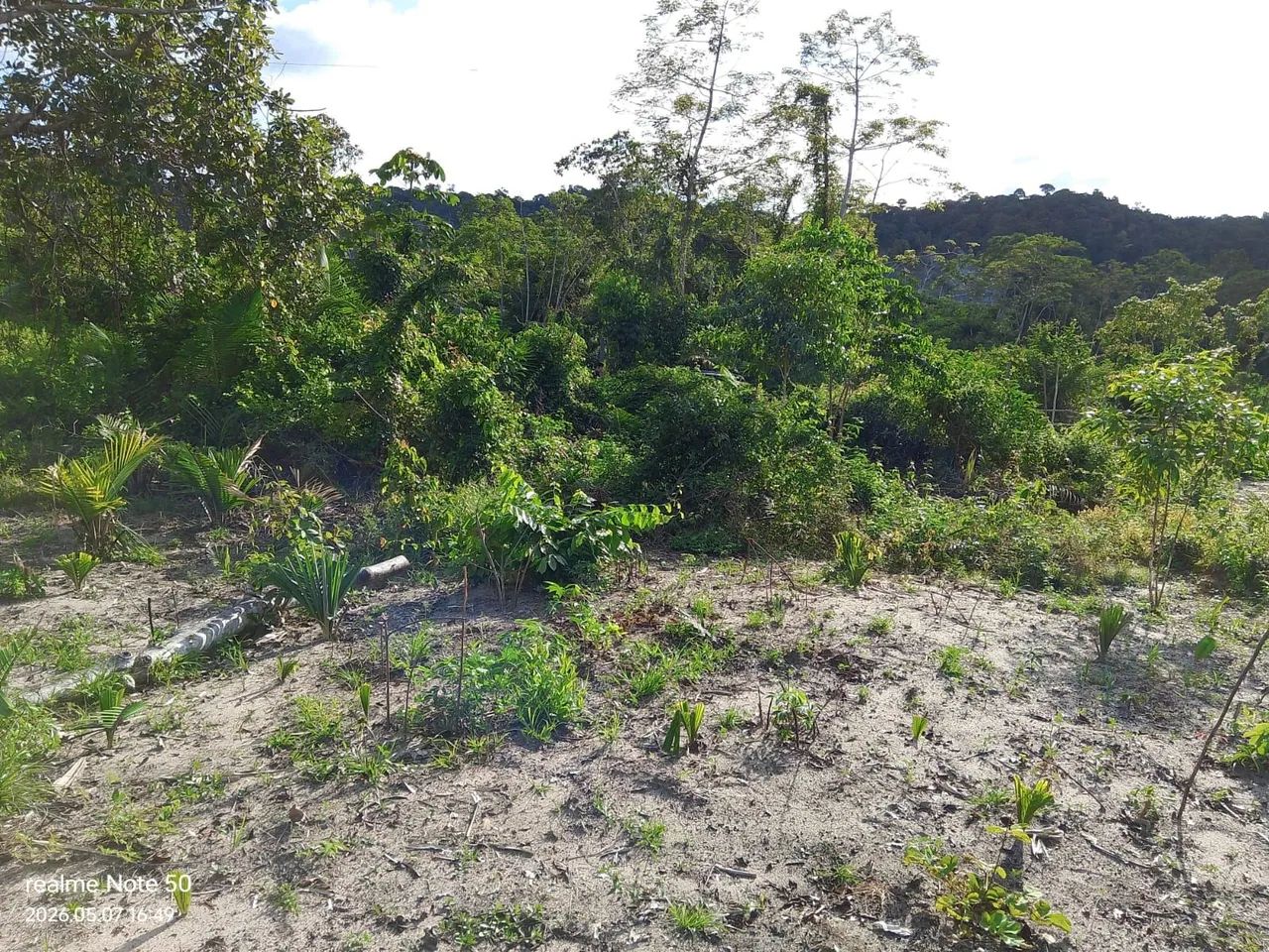Terreno Lote - Foto 5