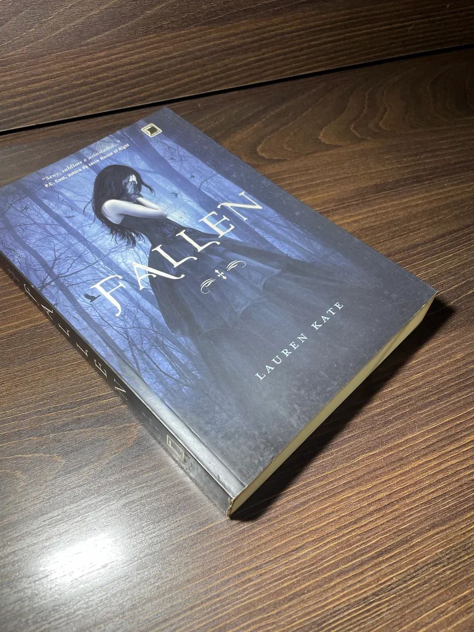 Livro Fallen - Lauren Kate 