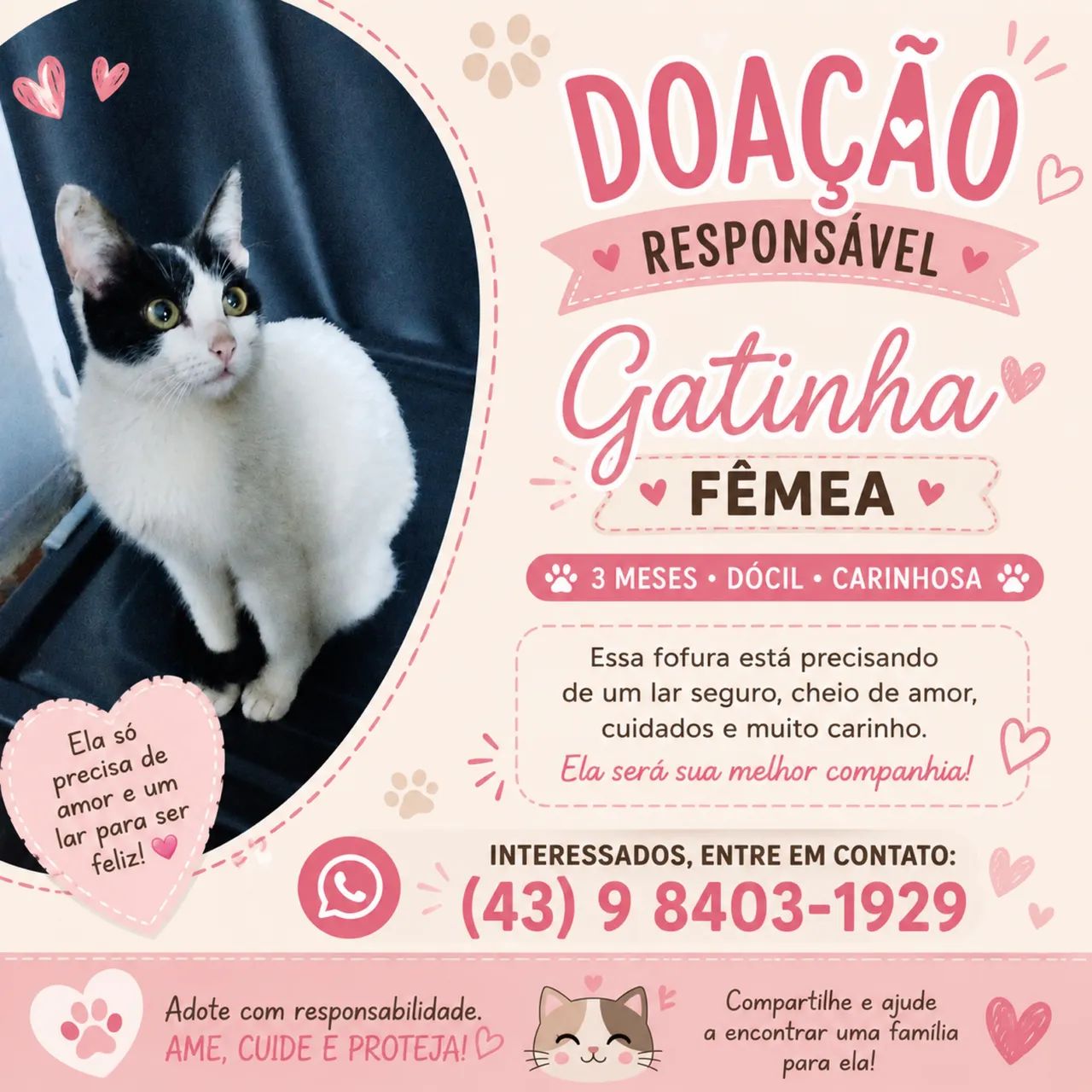 Doação 