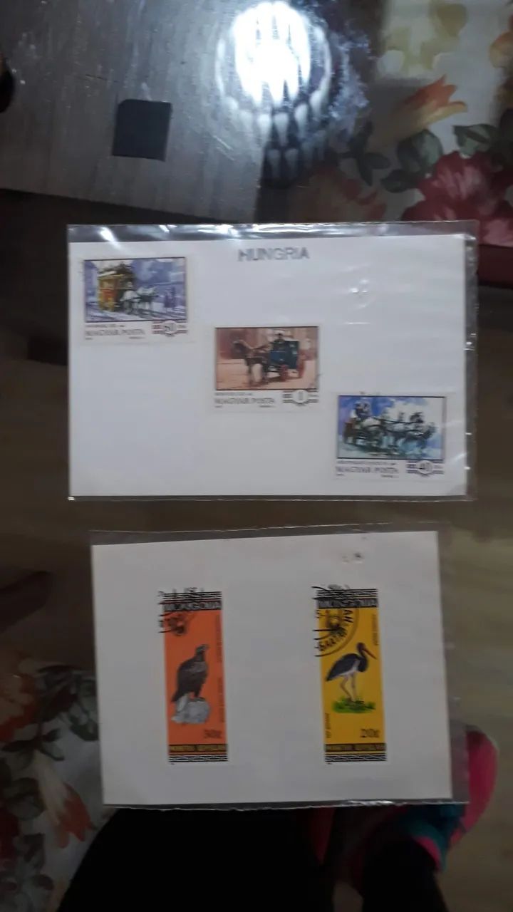 Coleção  - Foto 4