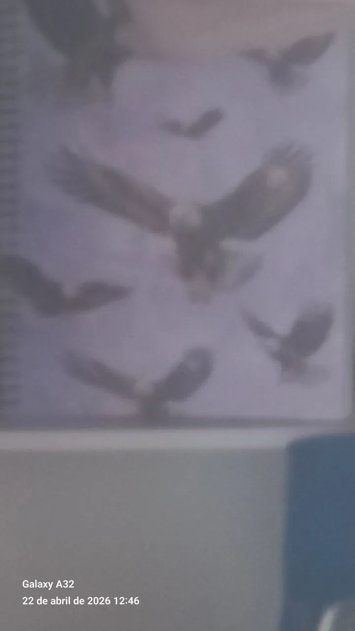 Caderno de 15 matérias 