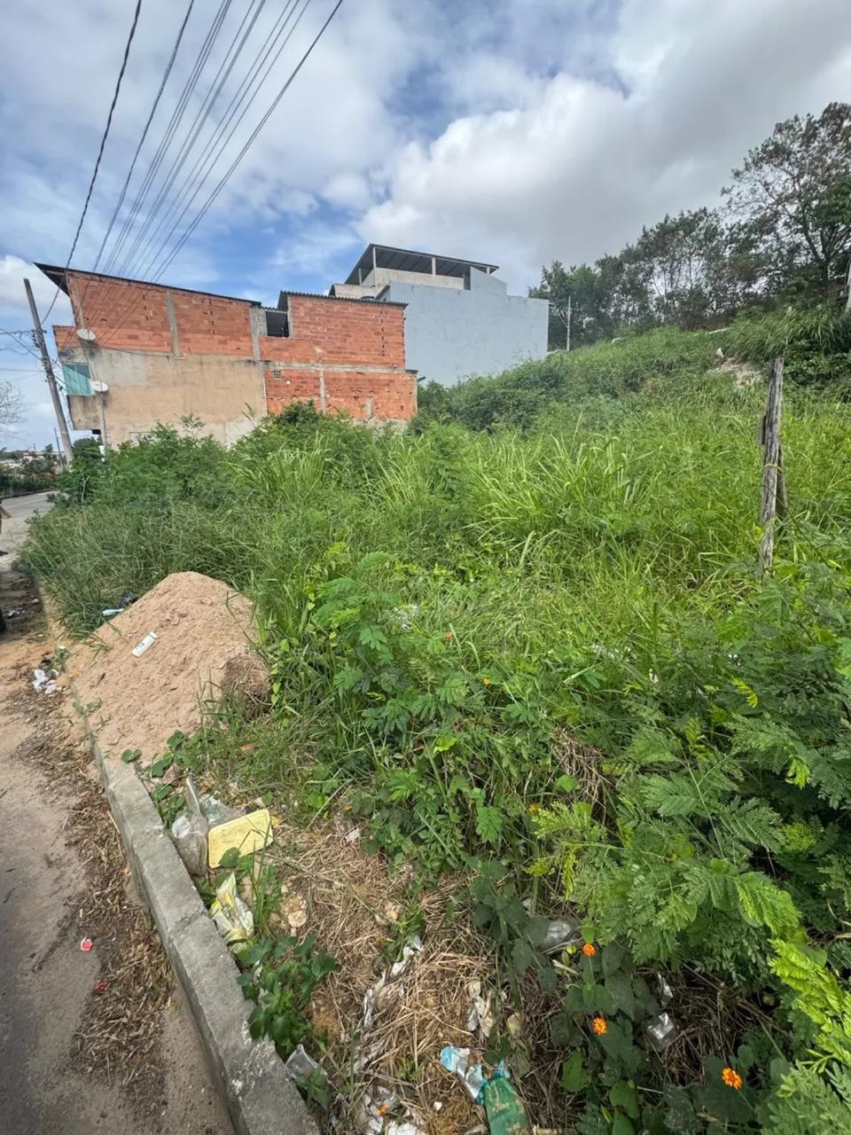 Vendo dois lotes juntos ou separados - Foto 4