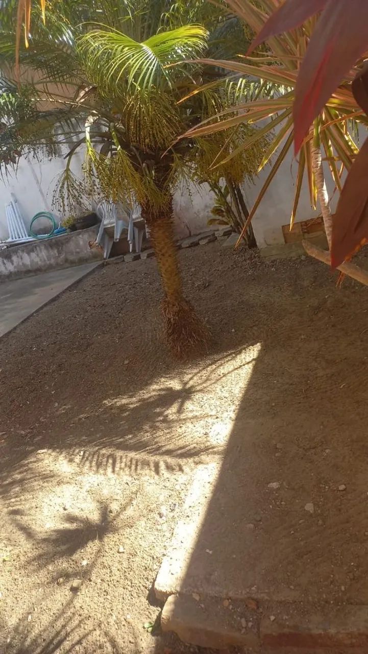 Jardineiro  - Foto 2