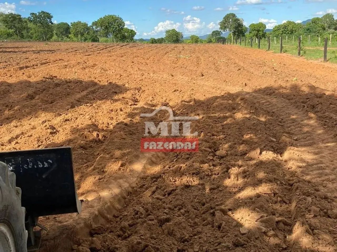Fazenda 106 Alqueires (515 Hectares) Jau do Tocantins - TO - Foto 4