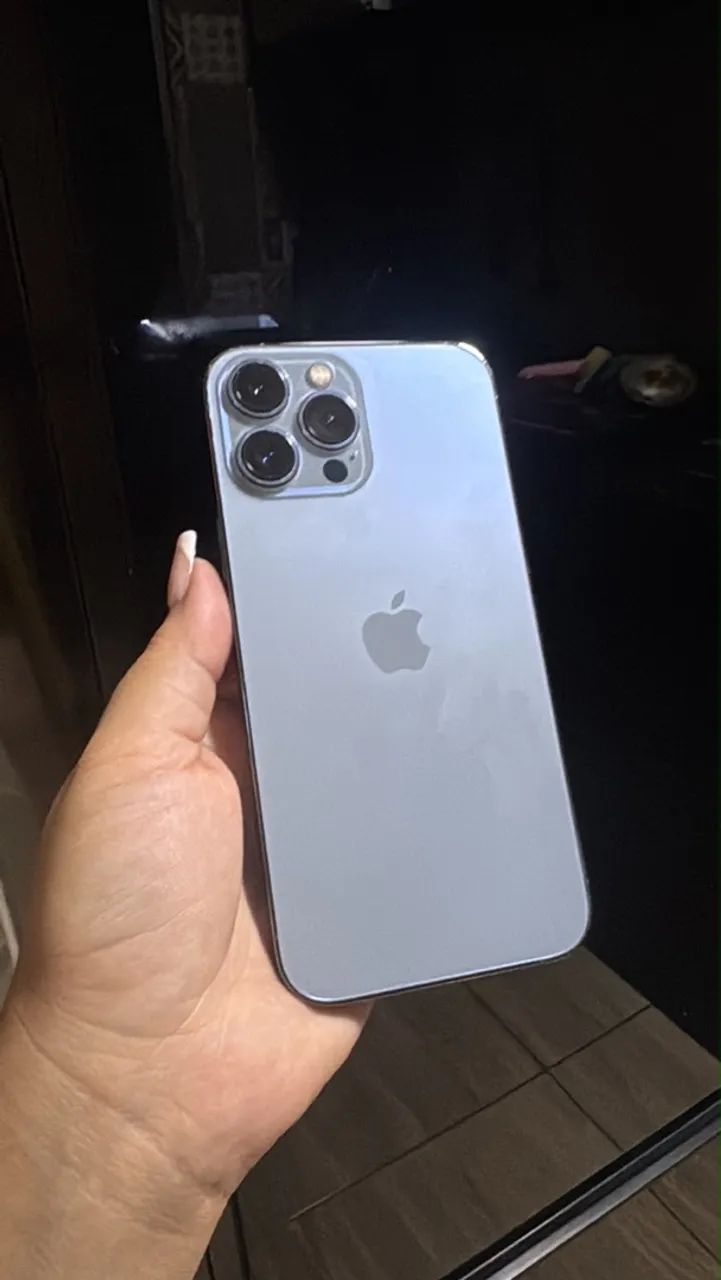 13 PRO MAX (256 GB)