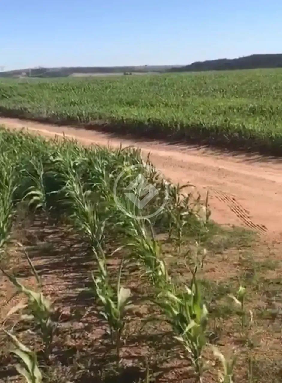 FAZENDA DE OPORTUNIDADE  SILVÂNIA/GO codigo: 309203