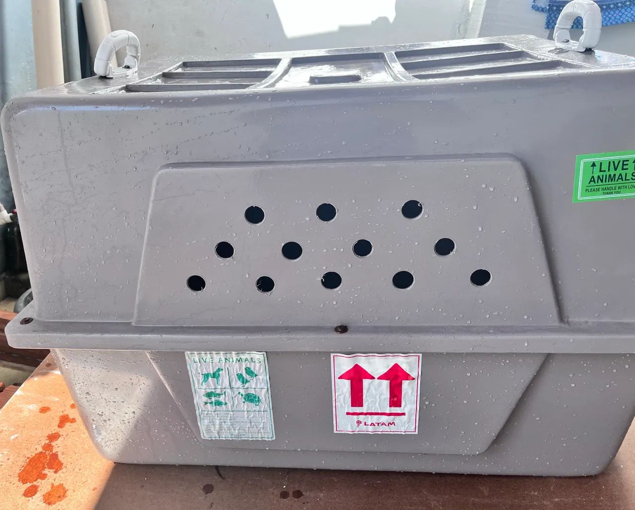 Caixa transportadora de animais - Foto 3