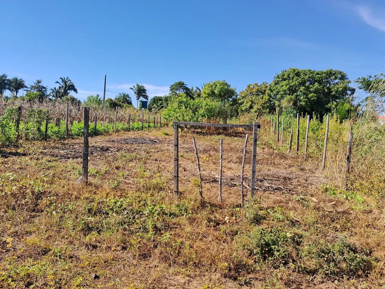 Vendo este terreno  - Foto 2