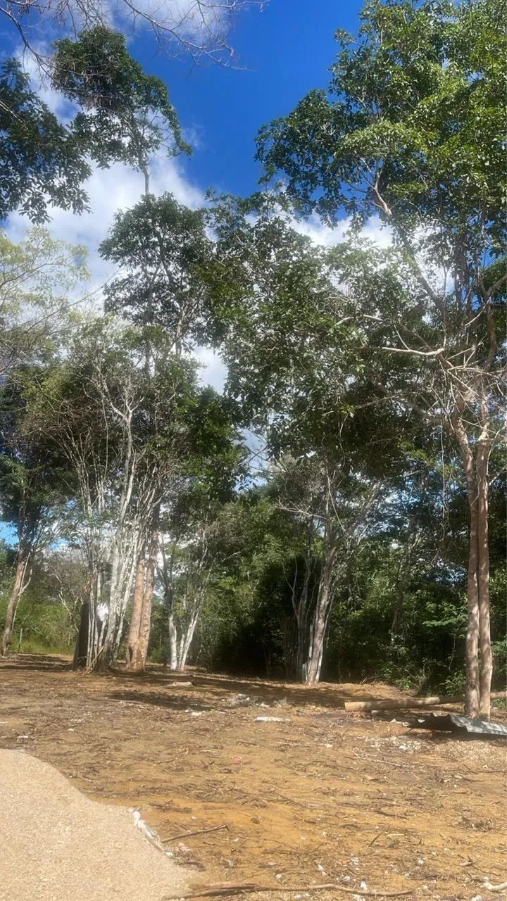 Sítio no parque esperança  - Foto 3