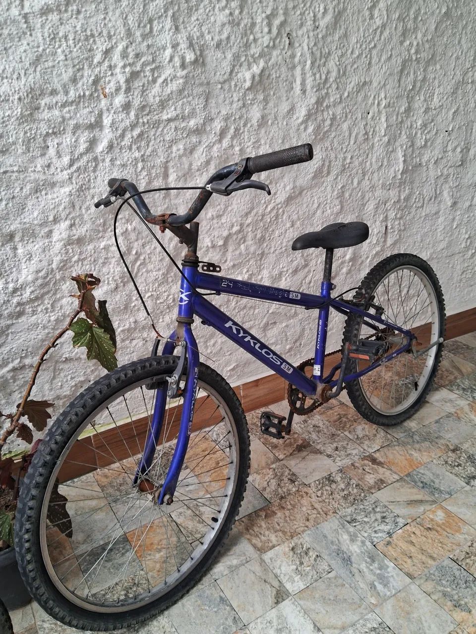 Bicicleta aro 24