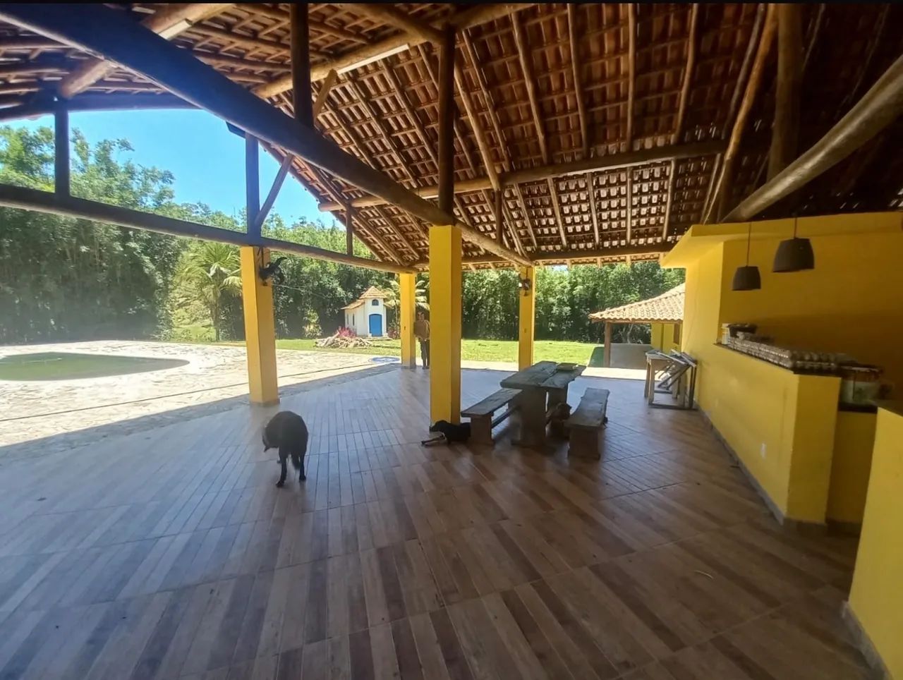 Fazenda Completa 18 Alqueires - Produtiva e Pronta Para Renda - Foto 5