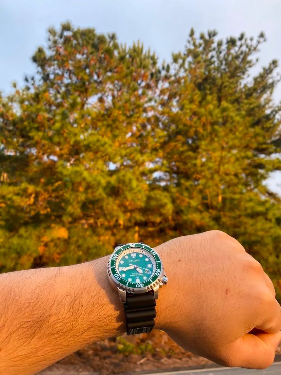 Citizen eco drive hulk  - Foto 4