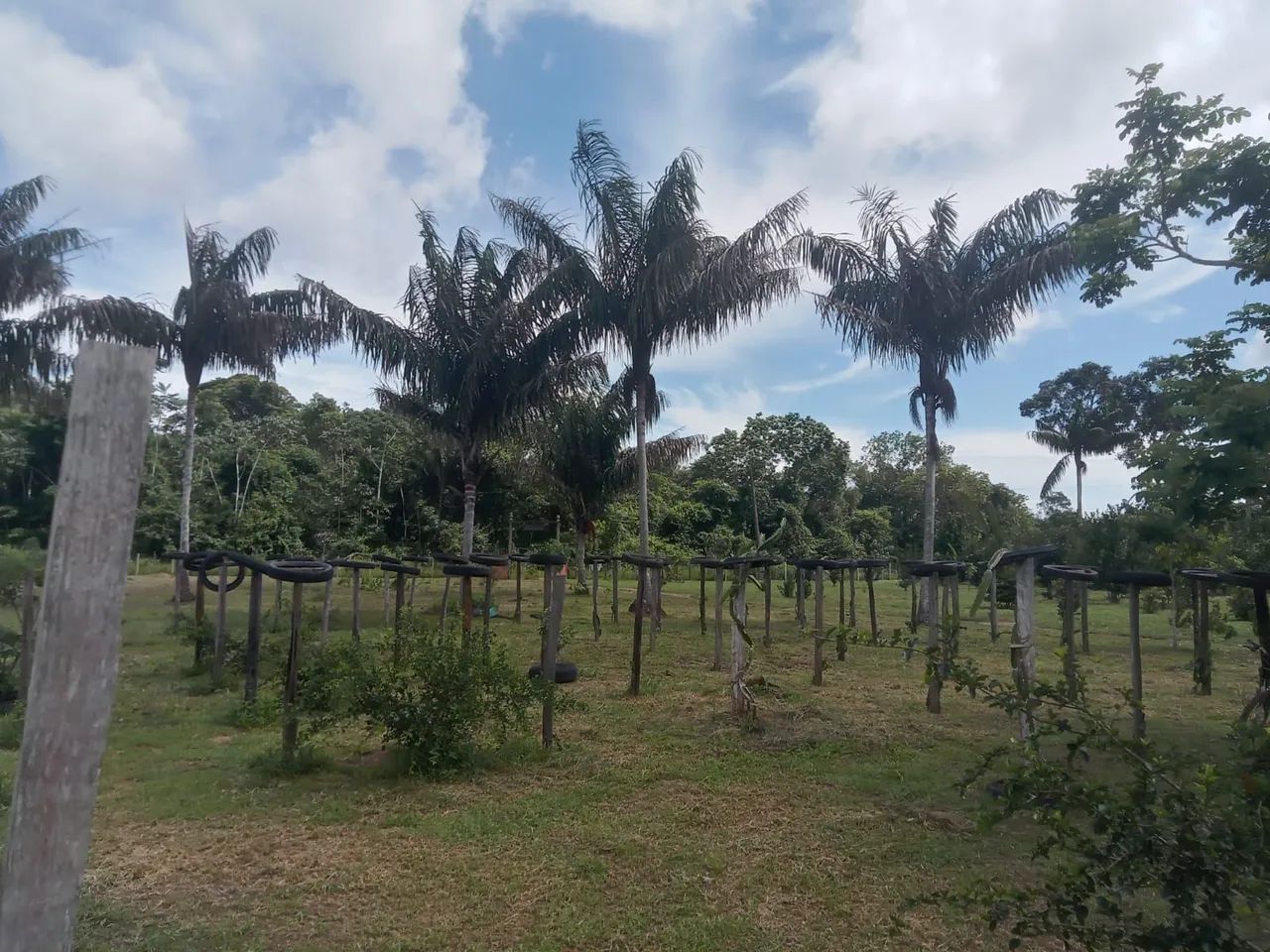 Terreno 200x400 em Mazagão - Foto 4