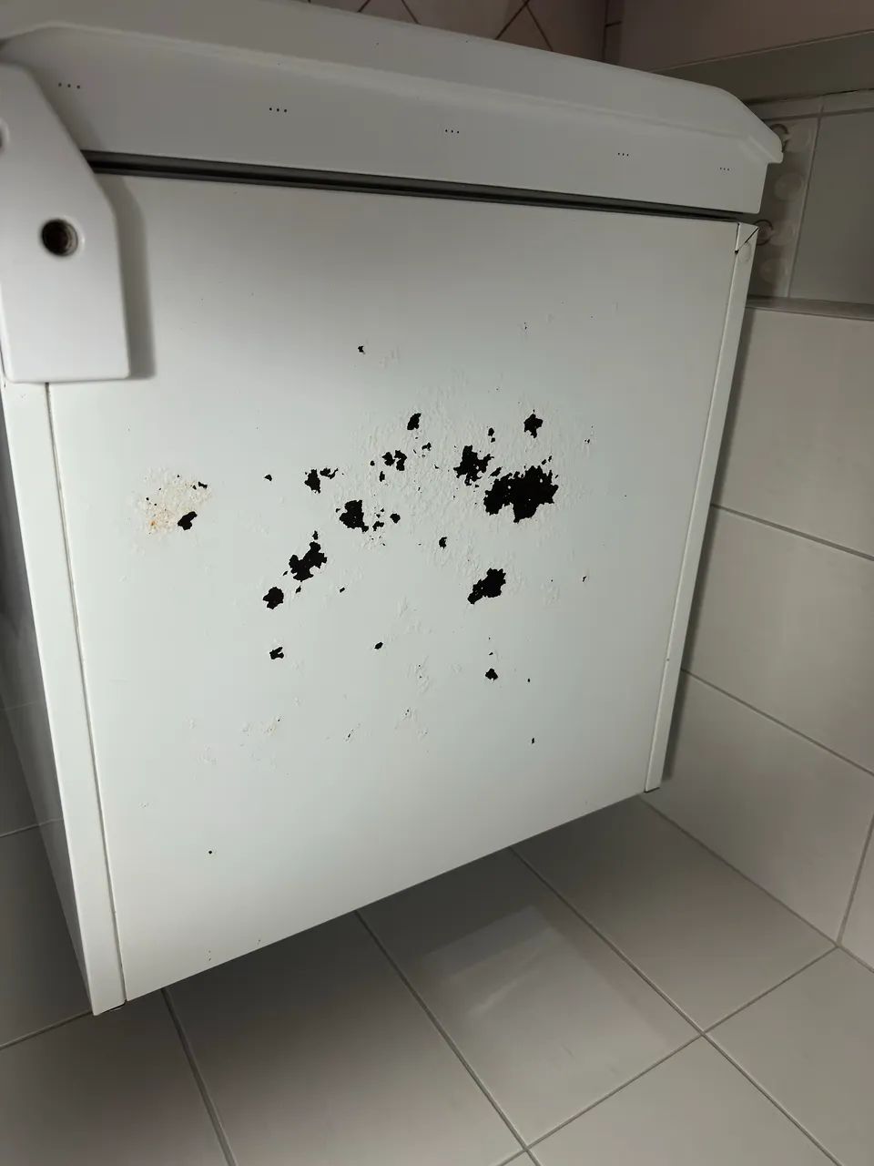 Geladeira Electrolux DF42 - Foto 2