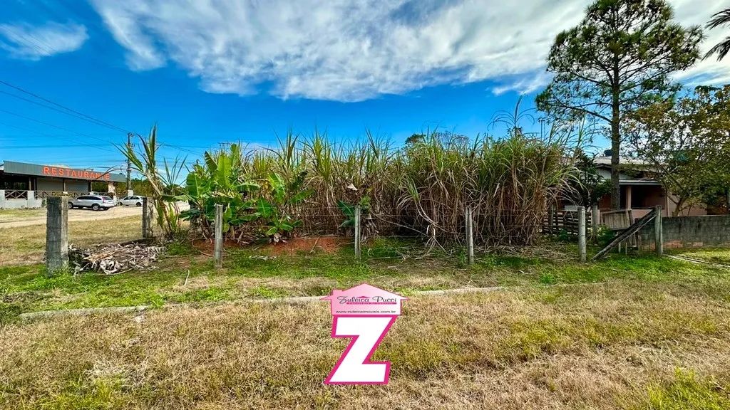 TERRENO COMERCIAL E RESIDENCIAL NA PINHEIRA - Foto 5
