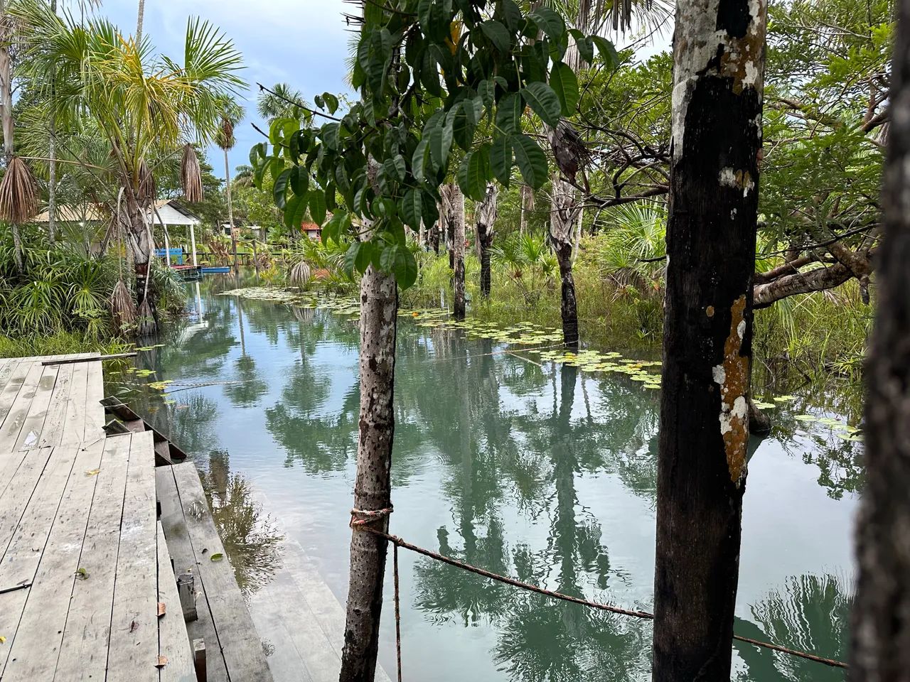 Foto - Macapá - Pacoval