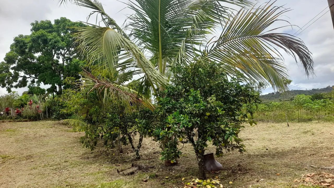 VENDO SITIO EM SALGADO  - Foto 2