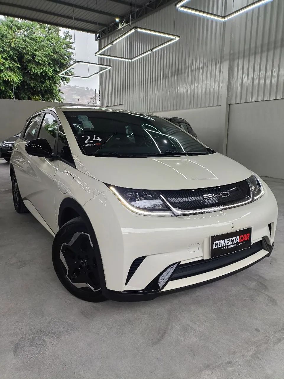 BYD Dolphin Dolphin EV (Elétrico) 2024