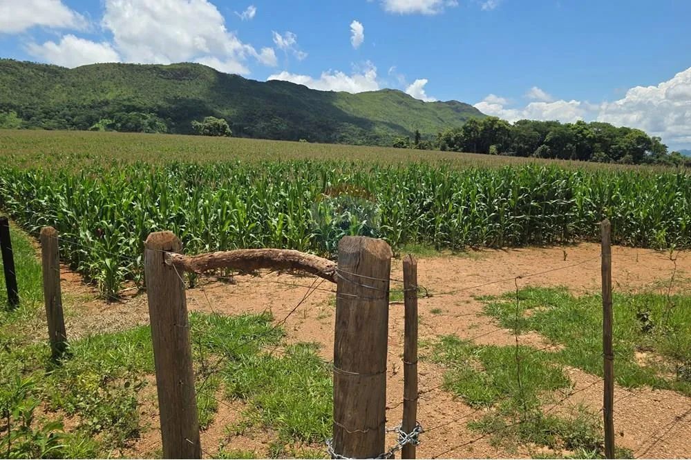 Sitio com 45 hectares na Serra da Canastra - Delfinópolis MG