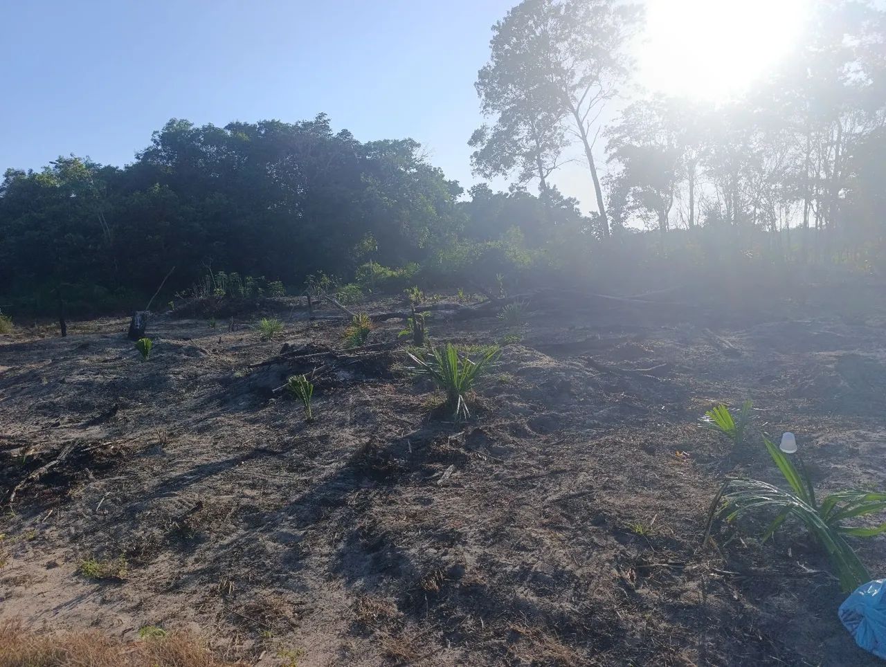 Terreno no Pajuçara  - Foto 4