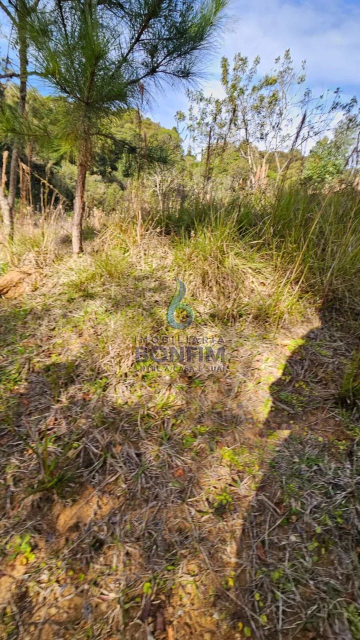 CHÁCARA COM 30.800 m² EM QUITANDINHA  Entrada + Parcelas - Foto 2