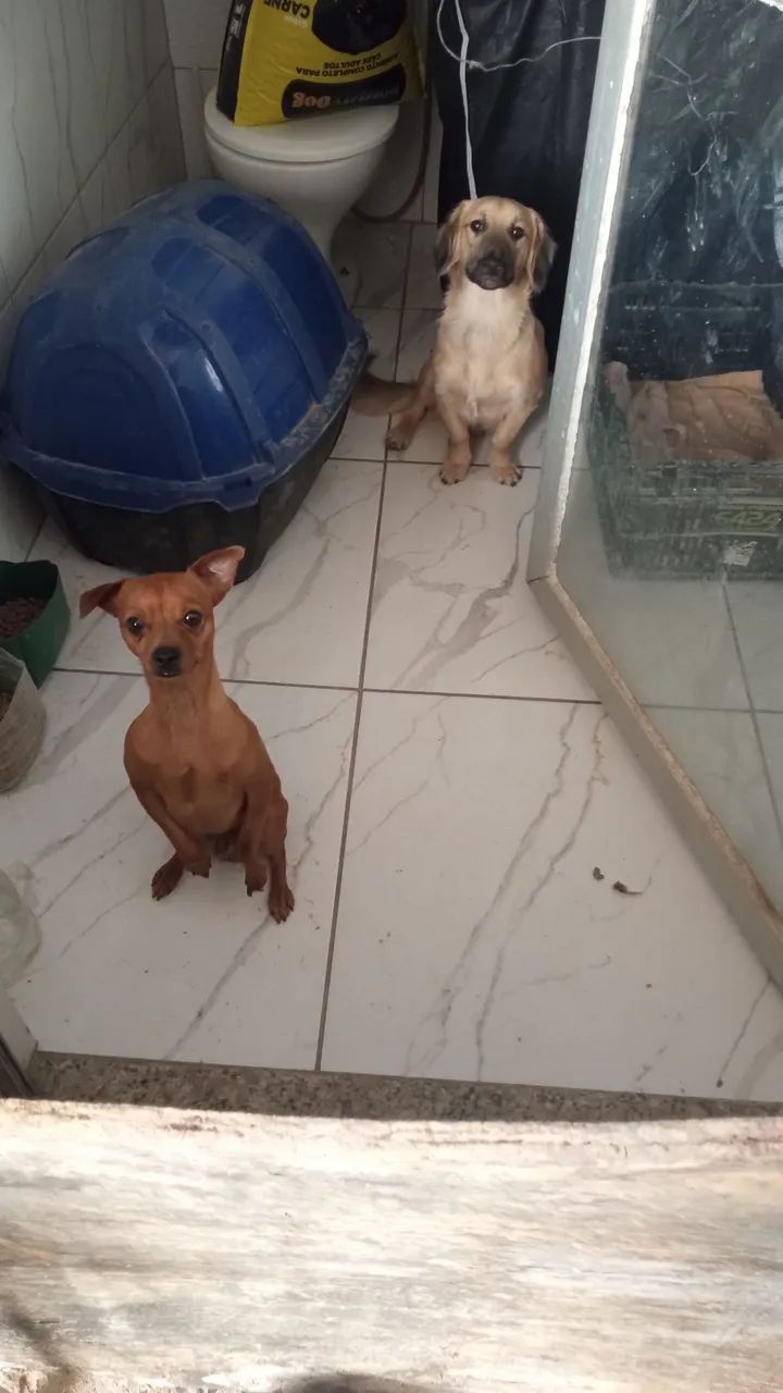 Doação 