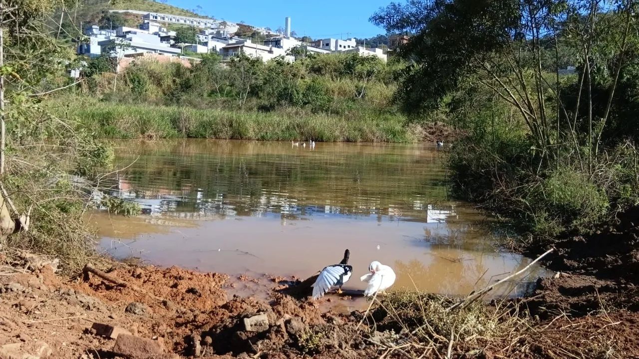 Terreno  200 m2  Bom jesus  dos perdões sp - Foto 5
