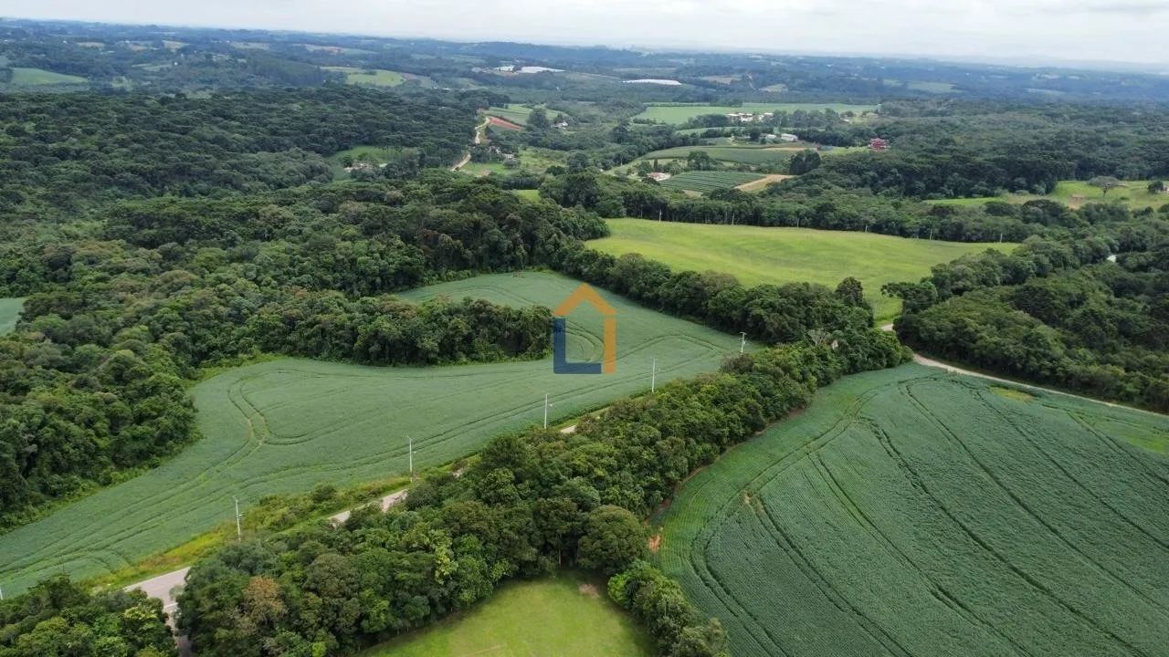 Área para venda em Araucária - PR - Foto 5