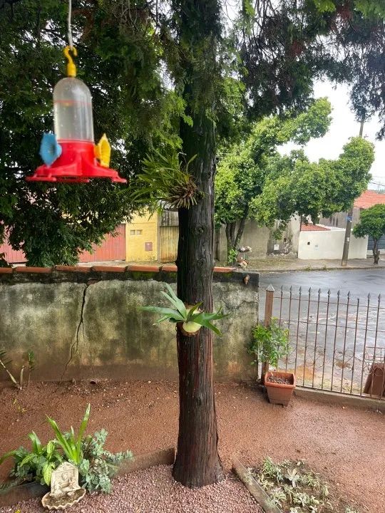 Quartos para Rapazes em Valinhos - Foto 4