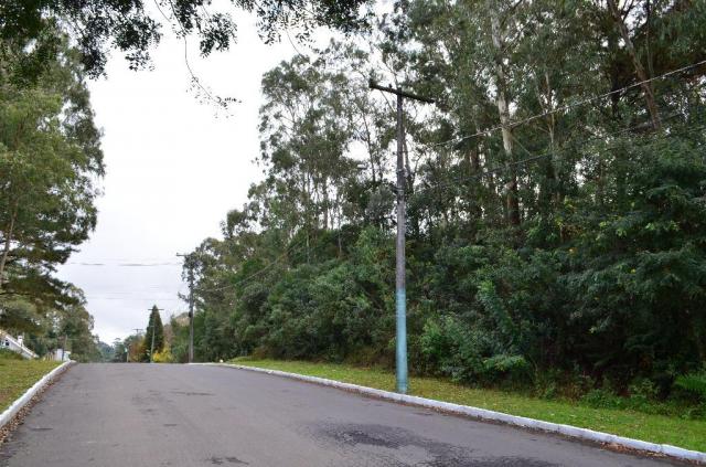 Terreno à venda, 731 m² por R$ 420.000,00 - Lago Negro - Gramado/RS - Foto 8