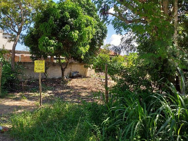 Saquarema - Jardim Ipitangas - excelente terreno 615 m2 - Foto 16