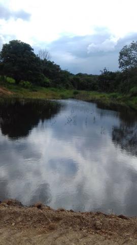 Cocalzinho Goiás - Foto 3