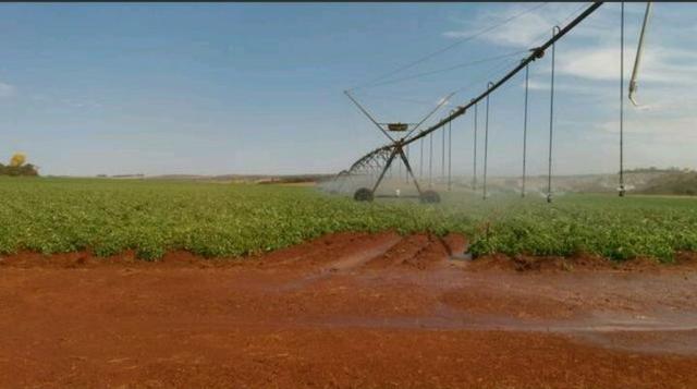 Fazenda próximo a Patrocinio Mg