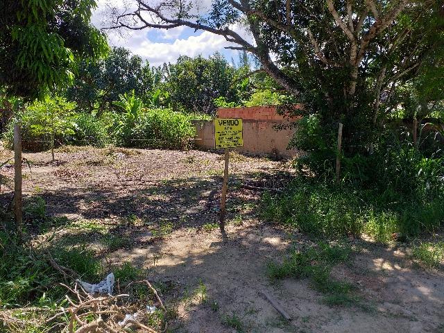 Saquarema - Jardim Ipitangas - excelente terreno 615 m2 - Foto 3