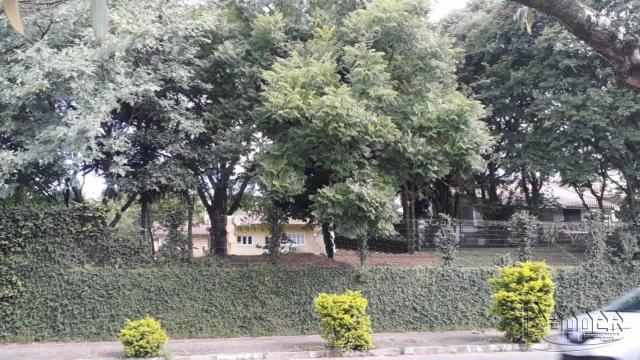 Terreno à venda em União, Estância velha cod:16830 - Foto 2