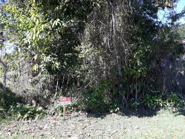 Terreno dentro condomínio São Luis Quadra 18 Lote 10 Pronto para construir ou investir - Foto 11