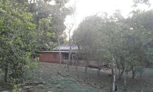 Chácara chacara, sitio, fazenda casa moradia carro, aluguel, aluga-se - Foto 3