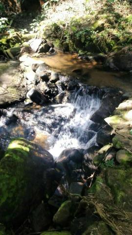 G Cód 286 Sítios e Áreas em Friburgo!!! - Foto 5