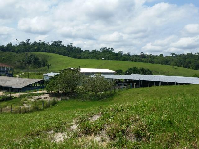 Fazenda na AM 010 - Foto 16