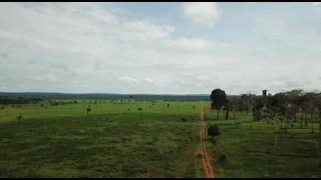 Fazenda 3.500 Hectares Excelente Fazenda