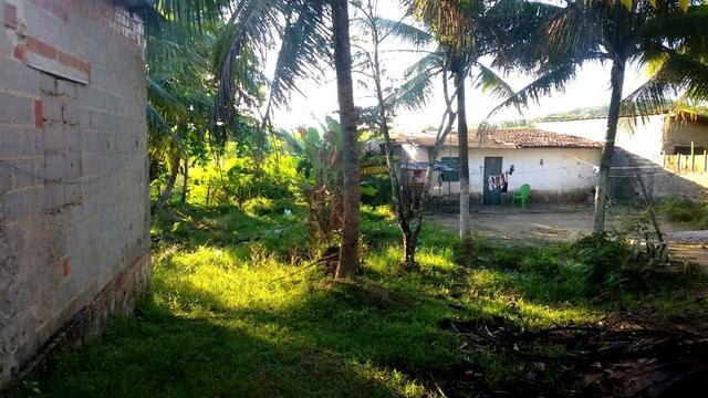 Vendo sítio 630m² com 2 casas 21m x 30m - Foto 14