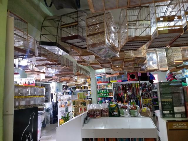 Vendo agropecuária mais de 20 anos - Foto 2