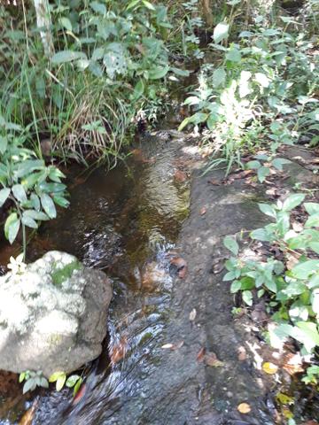 Sitio sossegado muita agua. riacho. represa. area privilegiada. - Foto 4