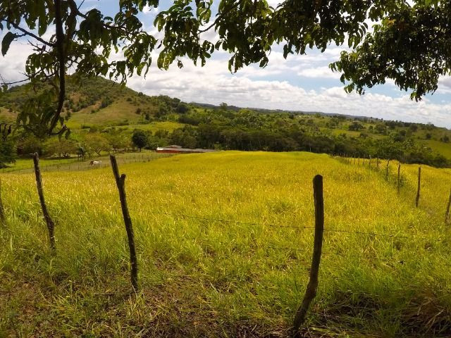 Fazendinha com 260.000m2 em candeias - Foto 15