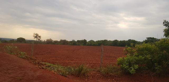 Fazenda 219 alqueires | região Caçu | boa pra lavoura plana - Foto 2