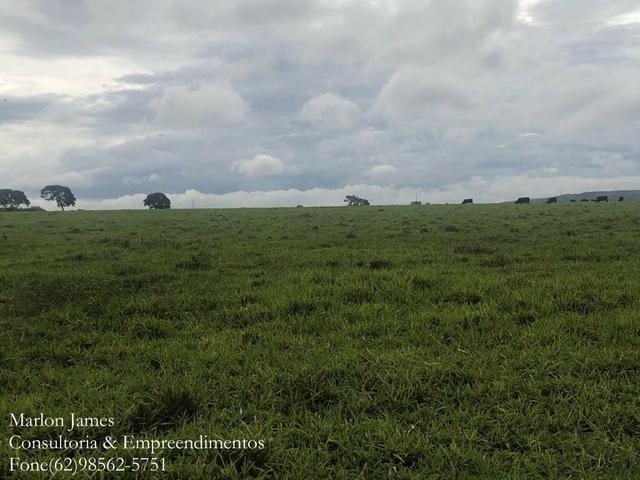 Fazenda em Vila Propício-Go! - Foto 6